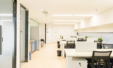 The work environment